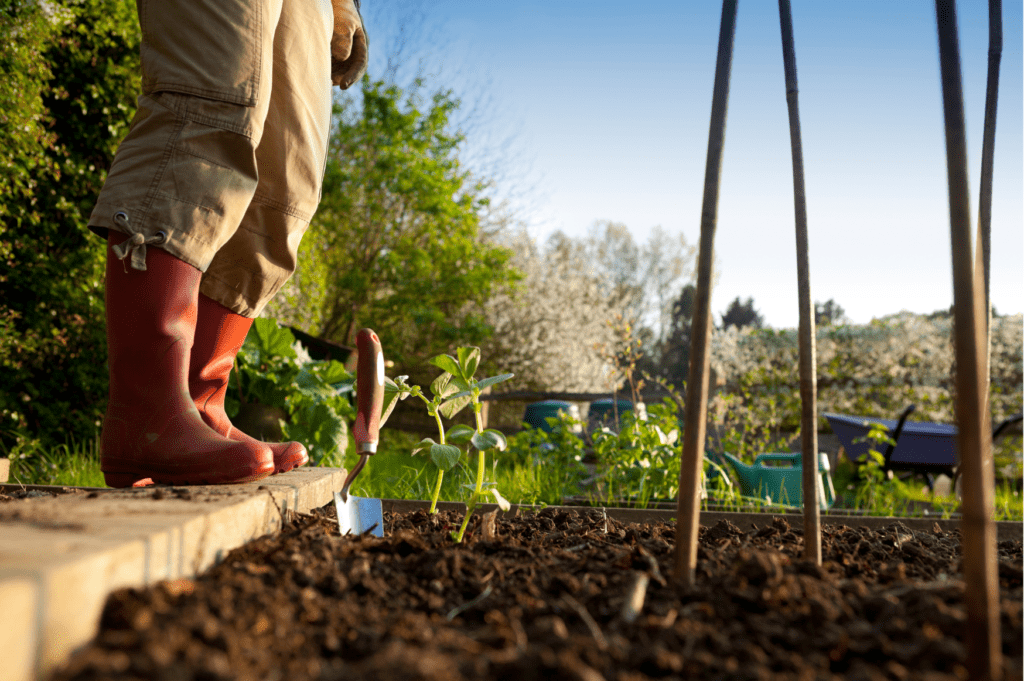 Laarzen naast moestuin